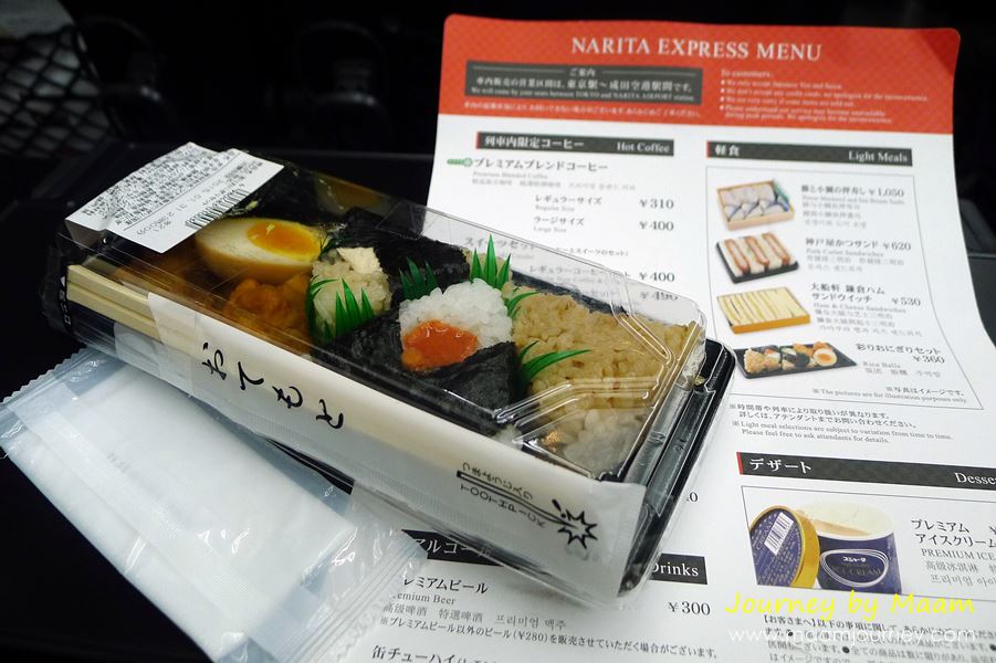 Narita Express_9