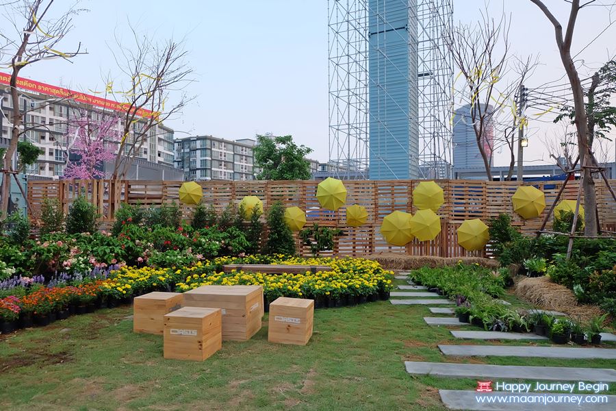 Oasis_5 Oasis_5
