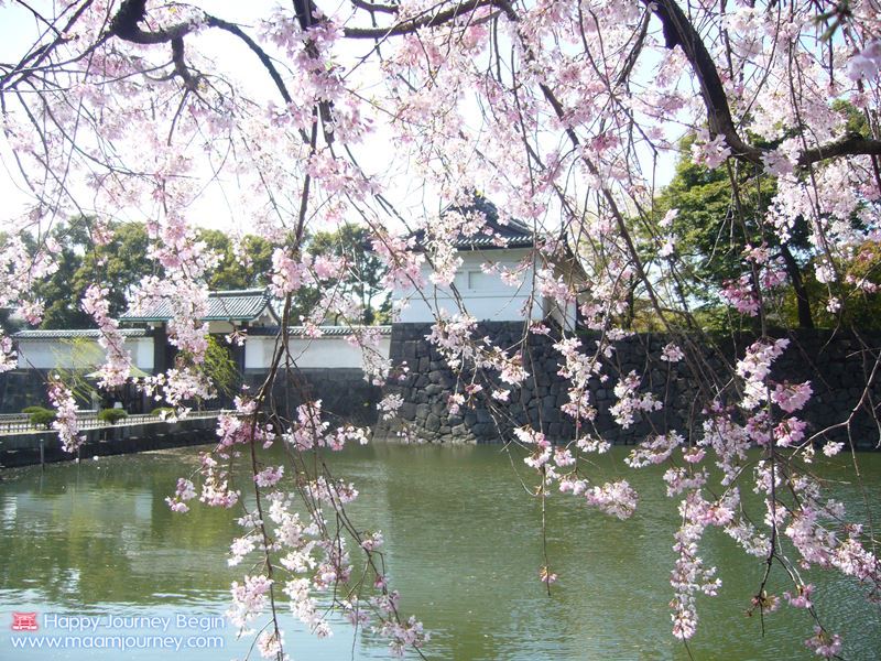 Sakura_Imperial_Palace