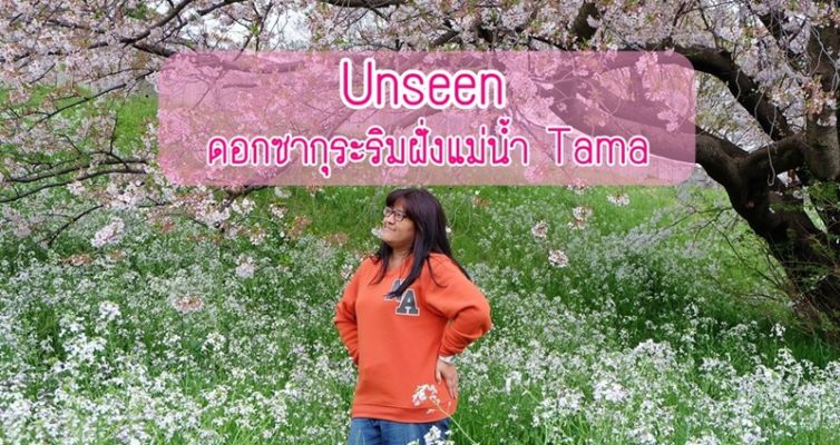 Sakura_Tamagawa