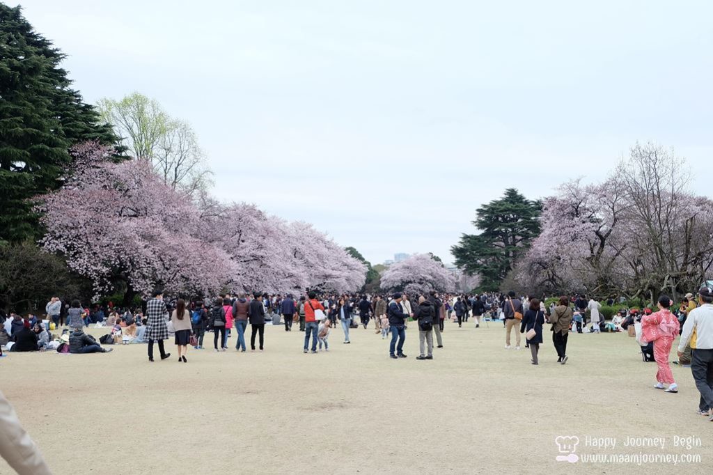 Shinjuku Gyoen National Park_4