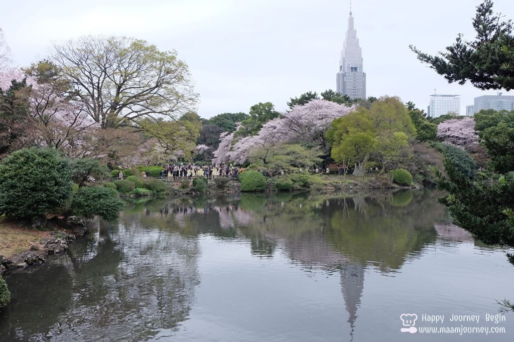 Shinjuku Gyoen National Park_6