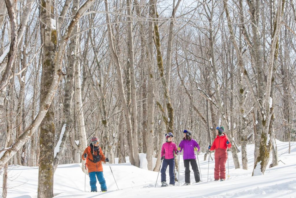 3-Snow Shoe Tour