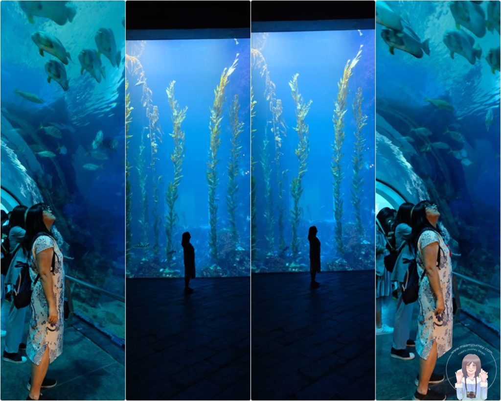Pingtung_Aquarium